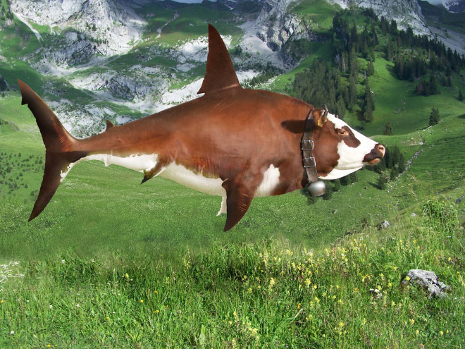 Photoshopped animal hybrid.