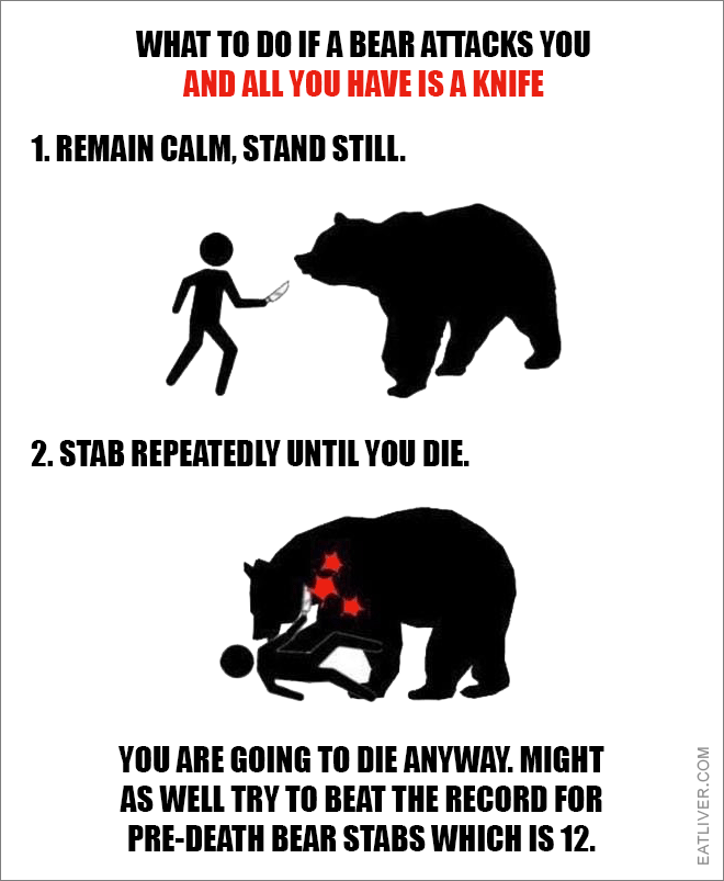 Remain calm, stand still. Stab repeatedly until you die. You are going to die anyway. Might as well try to beat the record for pre-death bear stabs which is 12.