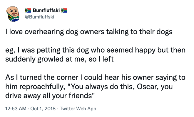 Funny tweet about dogs.