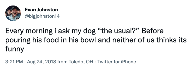 Funny tweet about dogs.