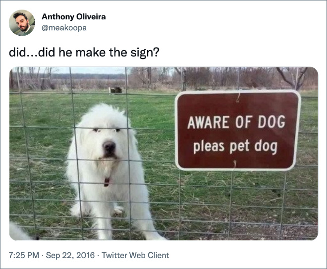Funny tweet about dogs.