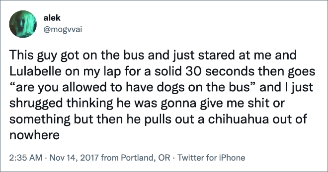 Funny tweet about dogs.