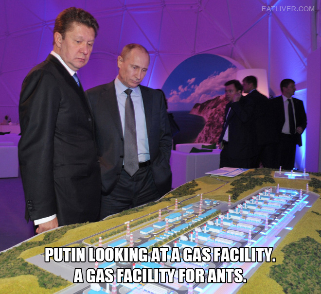 Putin looking at things.