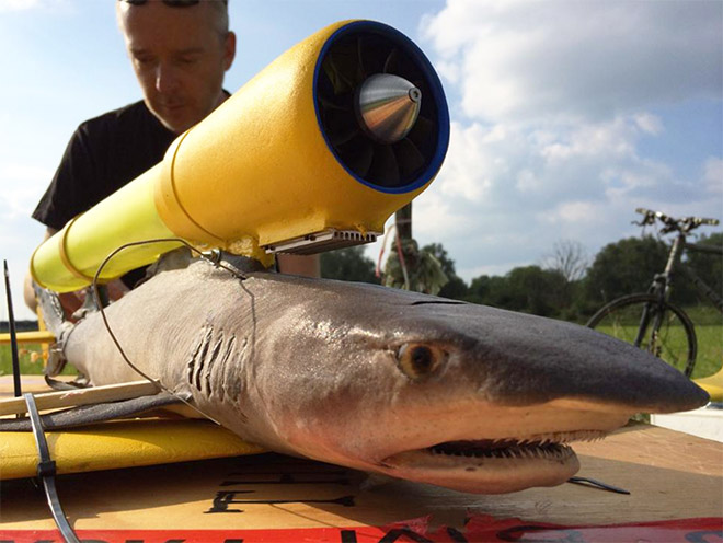 Shark drone.