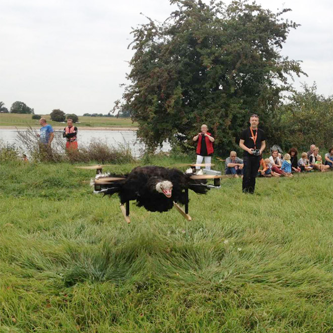 Ostrich drone.