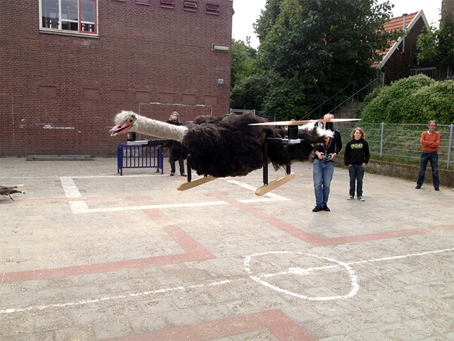 Ostrich drone.