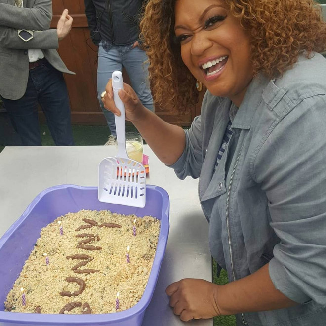 Cat litter cake.