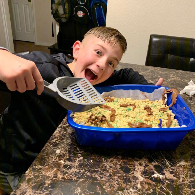 Cat litter cake.