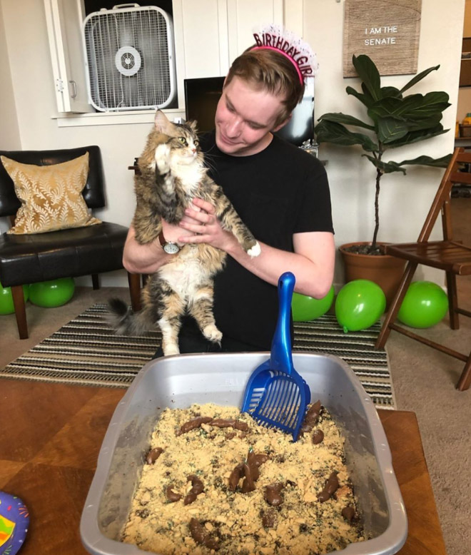 Cat litter cake.