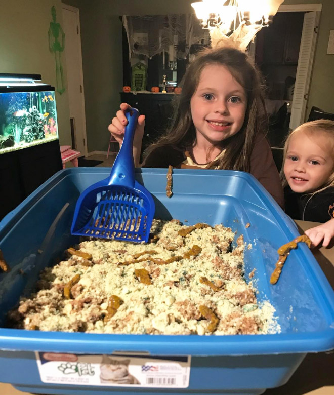 Cat litter cake.