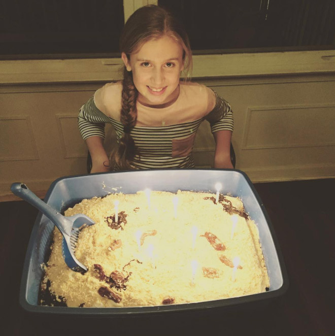 Cat litter cake.