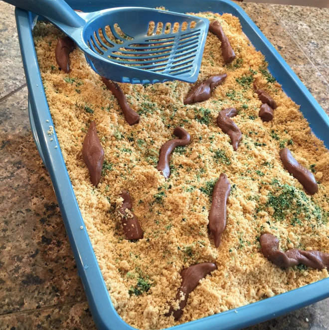 Cat litter cake.