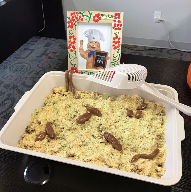 Cat litter cake.