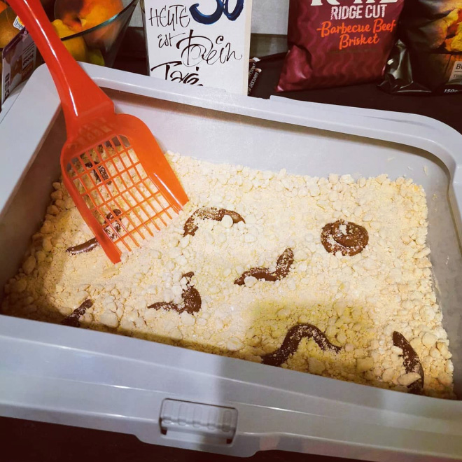 Cat litter cake.