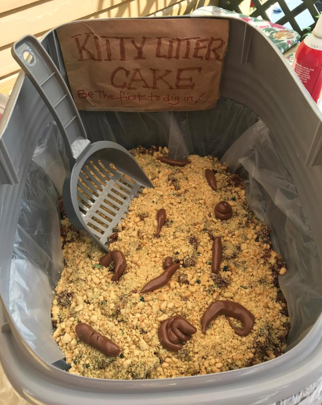 Cat litter cake.