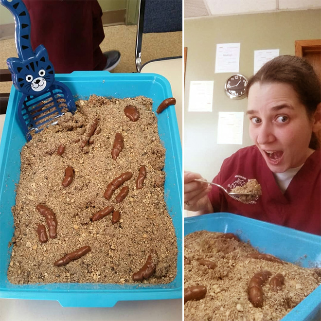 Cat litter cake.