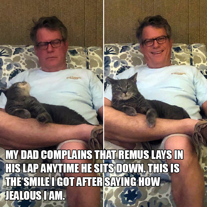 Dad versus cat.