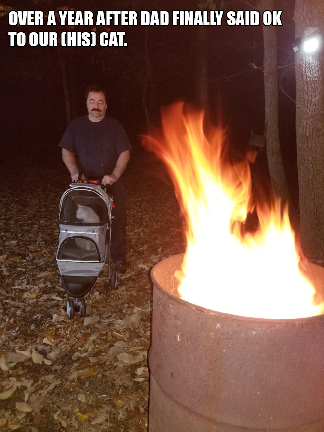 Dad versus the cat.