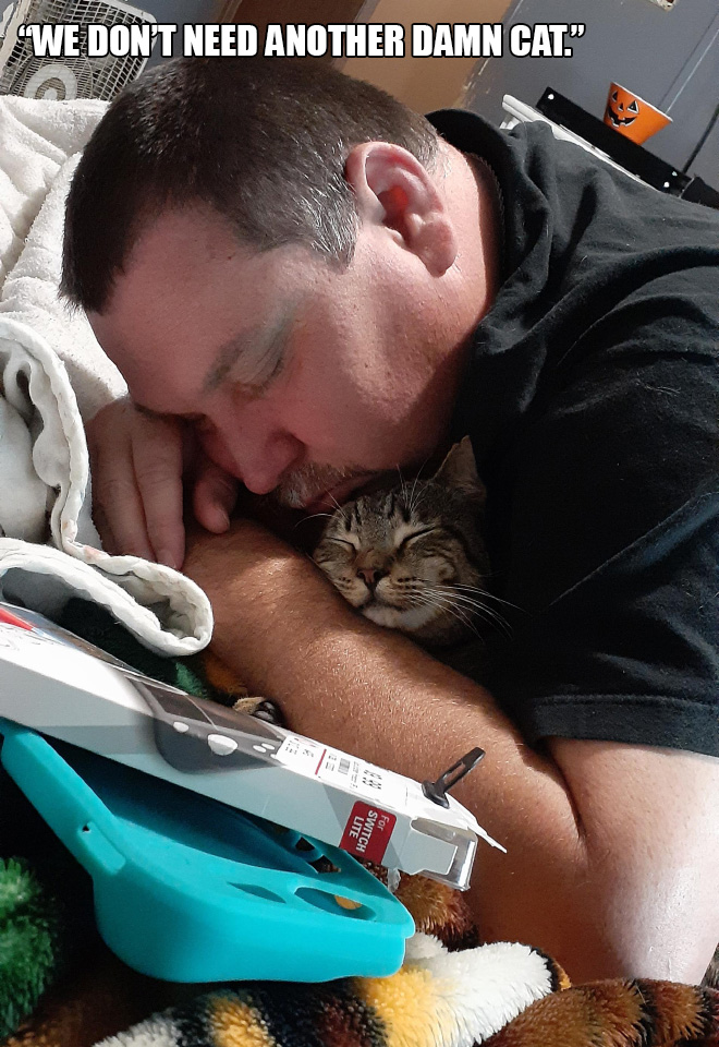 Dad vs. cat.