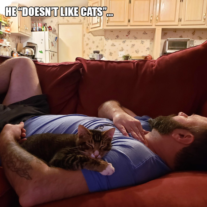 Dad vs. cat.