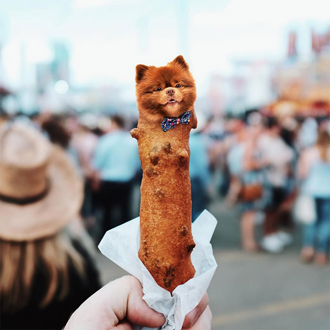 Dog photoshopped in food.