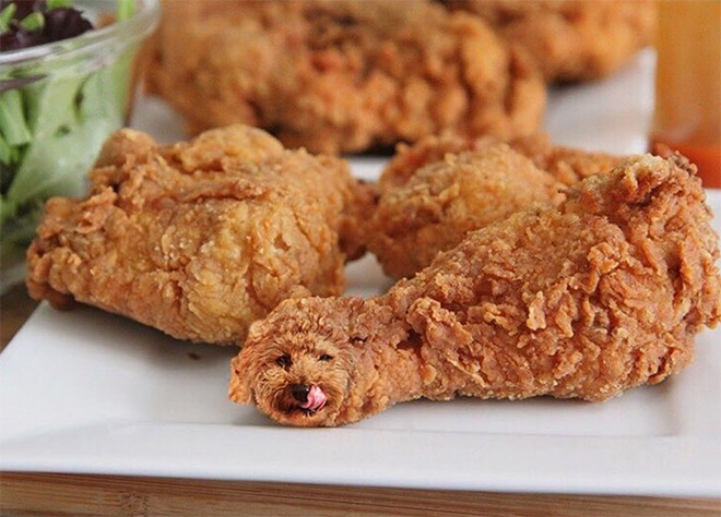 Dog photoshopped in food.