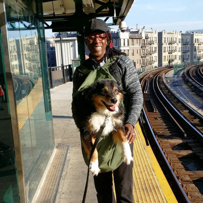 As long as your dog is in a bag, he is allowed to ride the NYC subway...