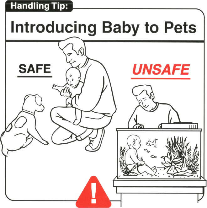 How to safely care for your baby.