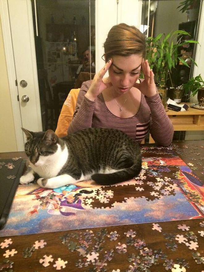 Cat helping to solve a puzzle.