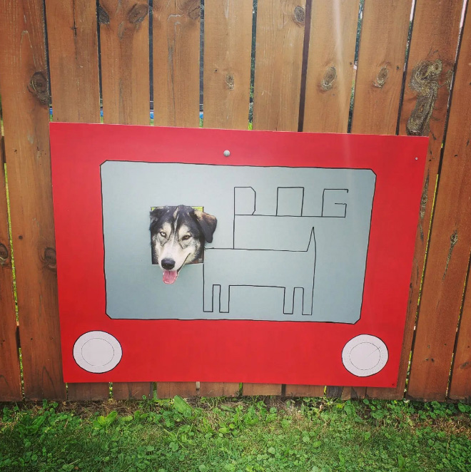 Funny fence window for dogs.