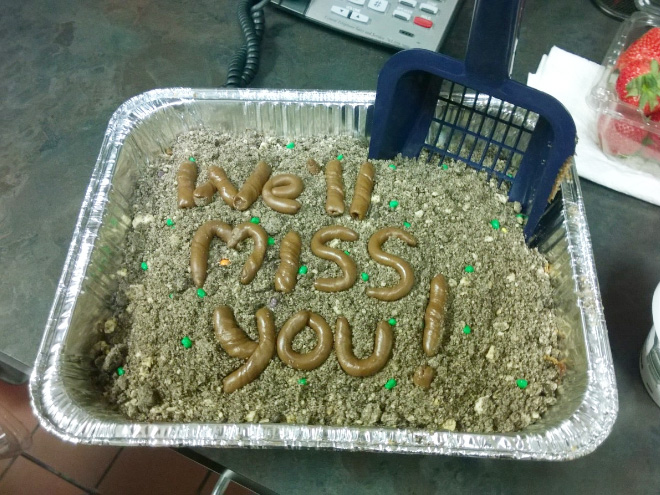 Funny farewell cake.