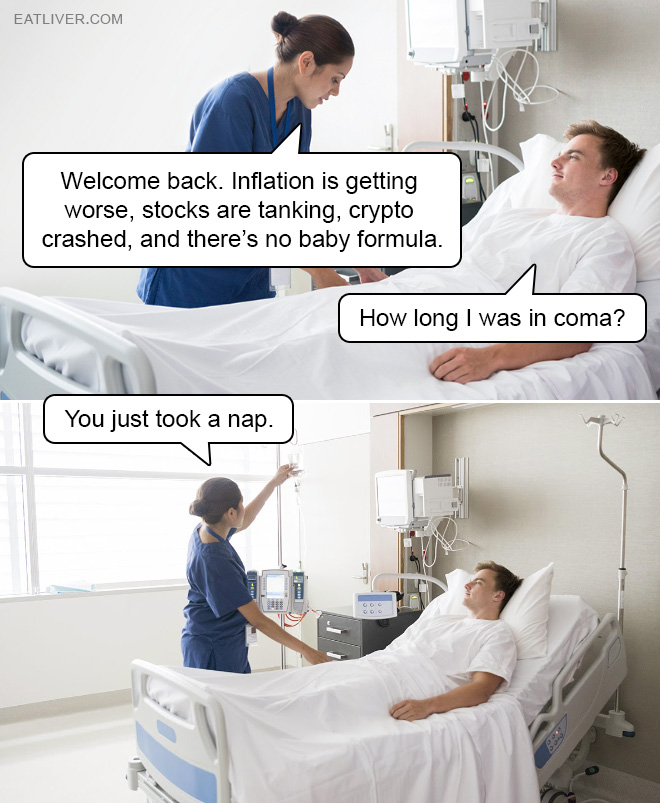 Welcome back. Inflation is getting worse, stocks are tanking, crypto crashed, and there's no baby formula. How long I was in coma? You just took a nap.