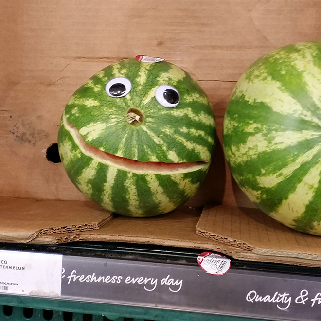 Googly eyes make everything better.