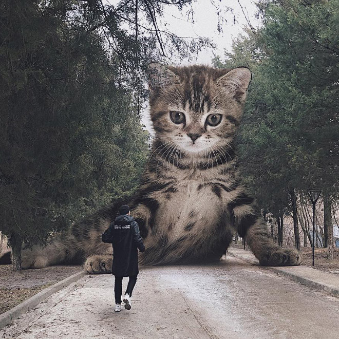 If huge cats lived with us...