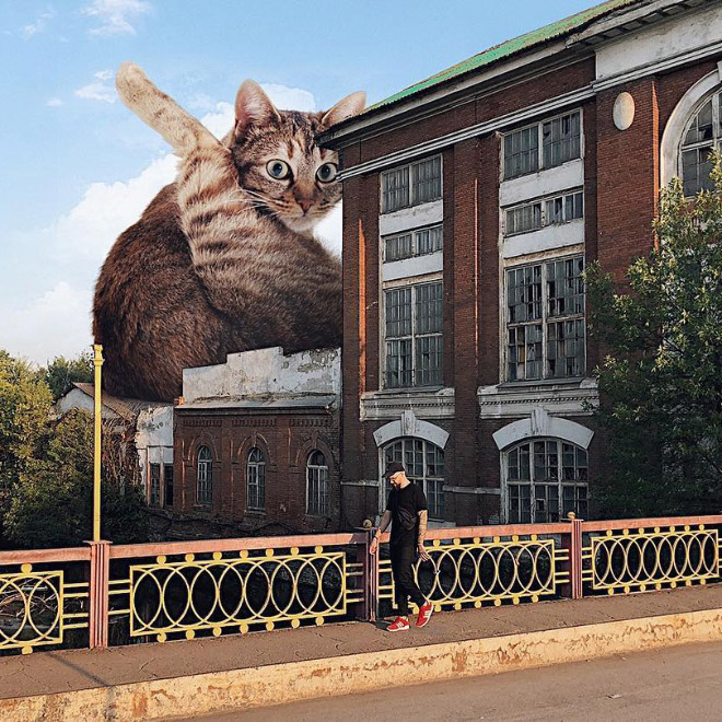 If huge cats lived with us...