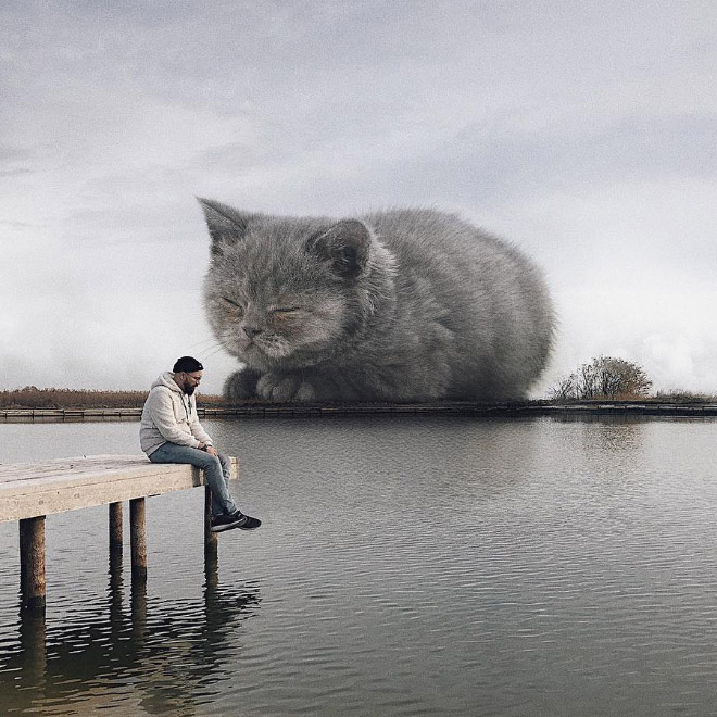 If huge cats lived with us...