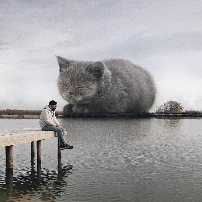 If huge cats lived with us...