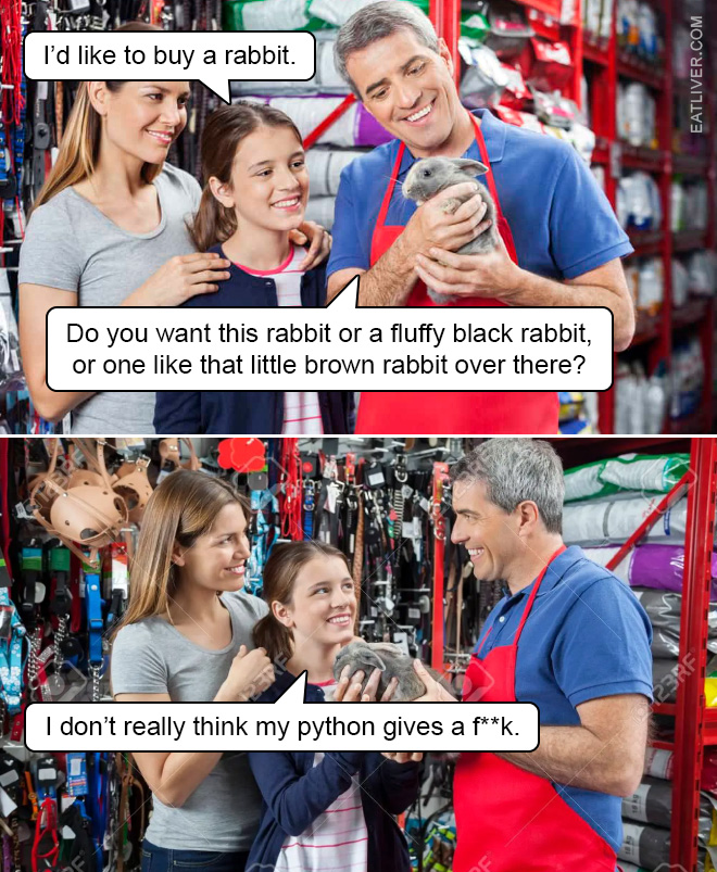 I'd like to buy a rabbit. Do you want this rabbit or a fluffy black rabbit, or one like that brown rabbit over there? I don't think my python gives a f...