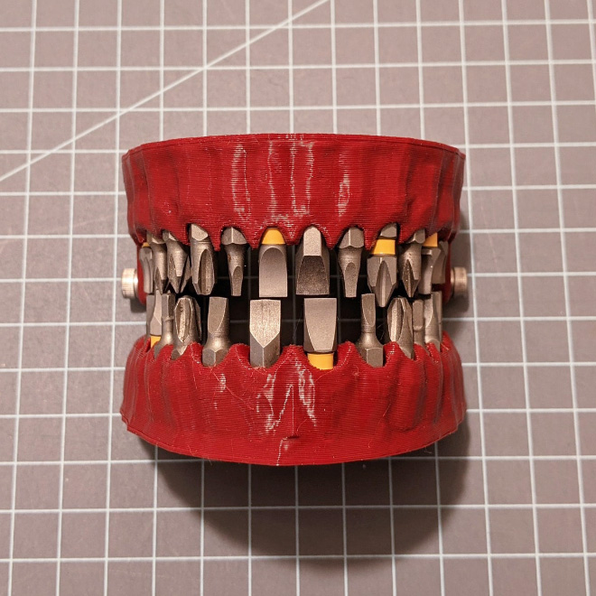 Denture screwdriver bit organizer.