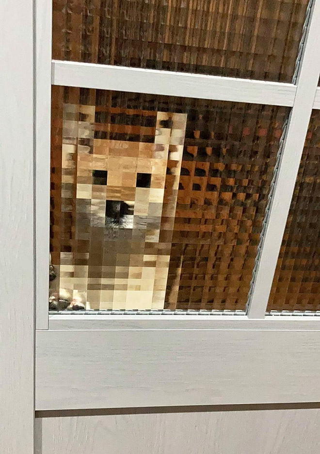 Pixelated pets are the best pets.