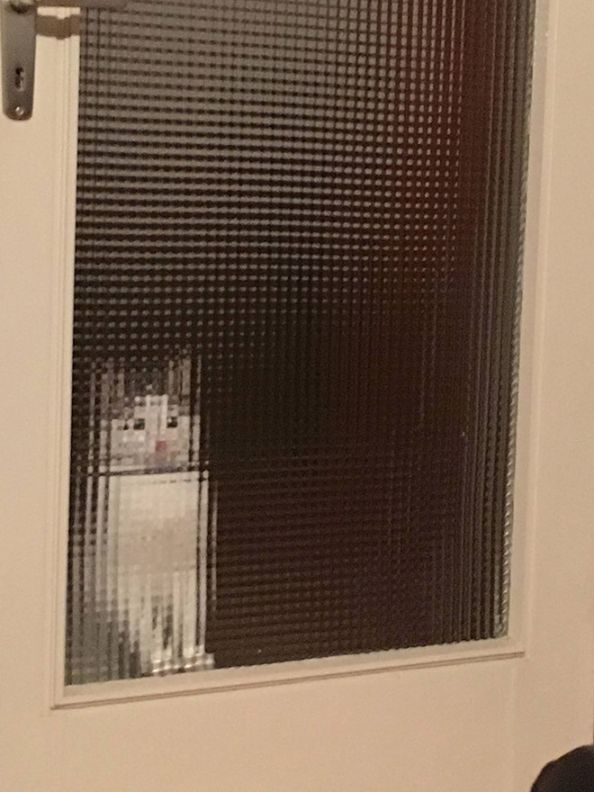 Pixelated pets are the best pets.