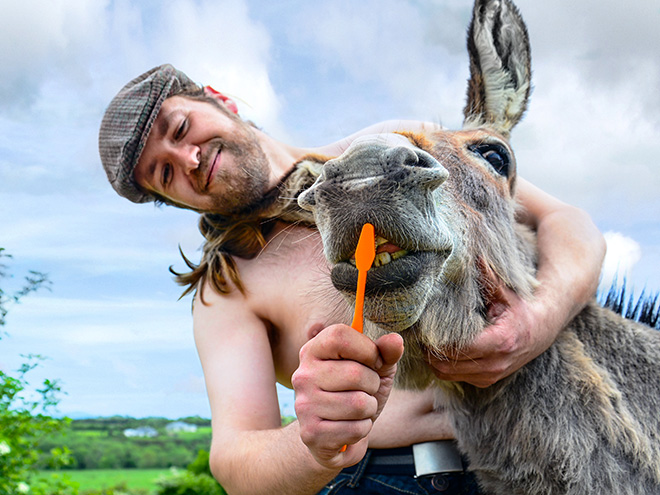 Handsome Irish farmer.