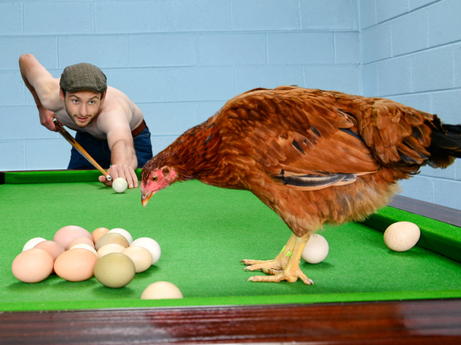 Handsome Irish farmer.