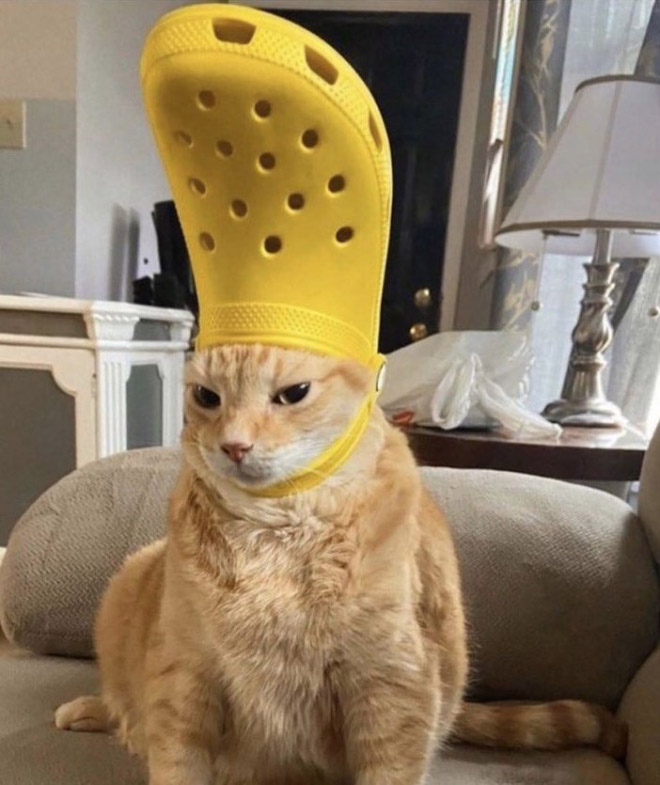 Crocs hat will turn your pet into the pope.