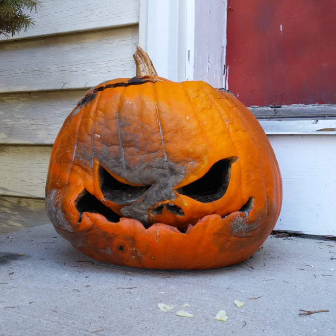 Abandoned Halloween pumpkin.