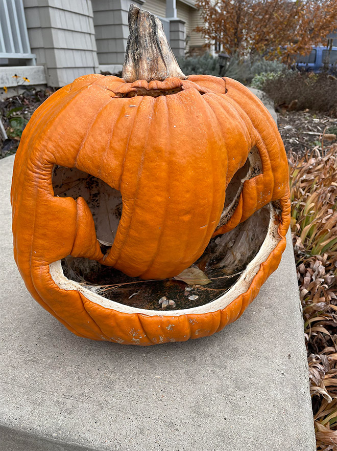 Abandoned Halloween pumpkin.