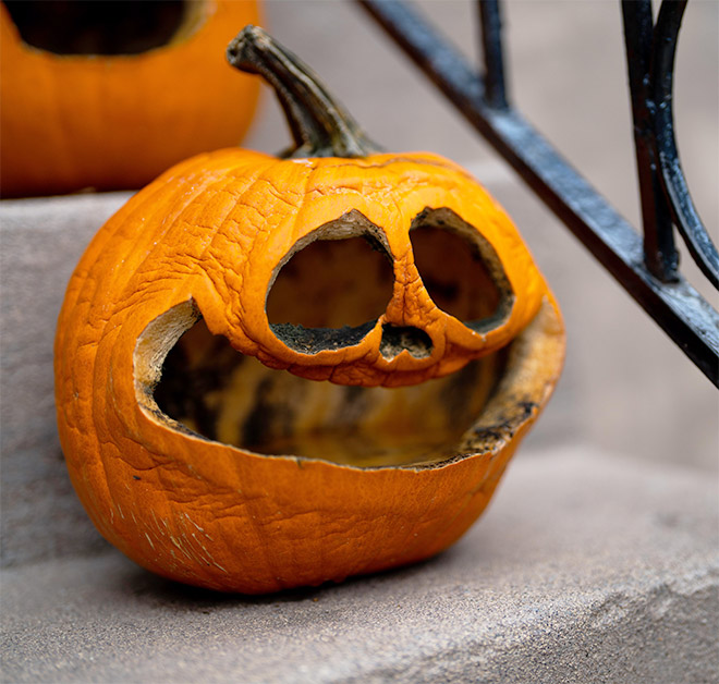 Abandoned Halloween pumpkin.