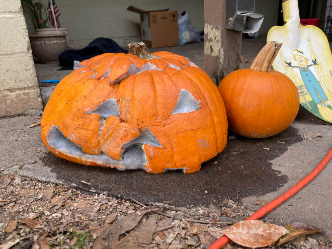 Abandoned Halloween pumpkin.