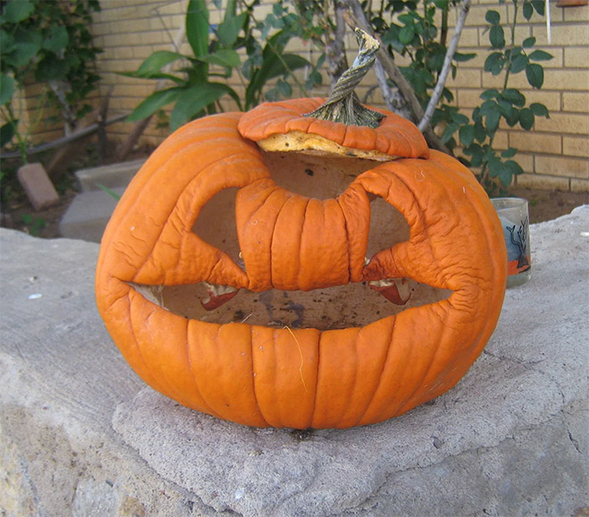 Abandoned Halloween pumpkin.