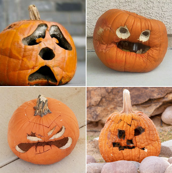 Abandoned Halloween pumpkins.